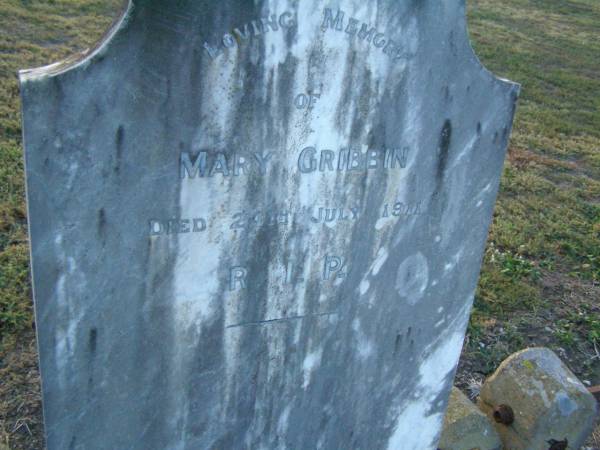 Mary GRIBBIN,  | died 24 July 1911;  | Killarney cemetery, Warwick Shire  | 