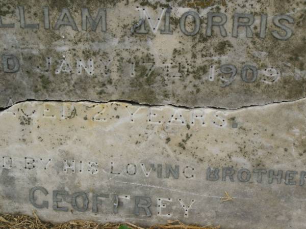 William MORRIS,  | died 17 Jan 1909 aged 2 years,  | erected by brother Geoffrey;  | Killarney cemetery, Warwick Shire  | 