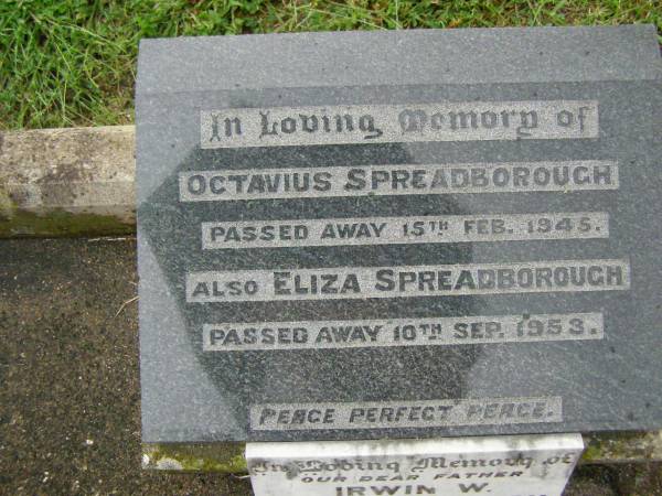 Octavius SPREADBOROUGH,  | died 15 Feb 1945;  | Eliza SPREADBOROUGH,  | died 10 Sept 1953;  | Irwin W. SPREADBOROUGH,  | father,  | died 6 Dec 1961 aged 77 years;  | Killarney cemetery, Warwick Shire  | 