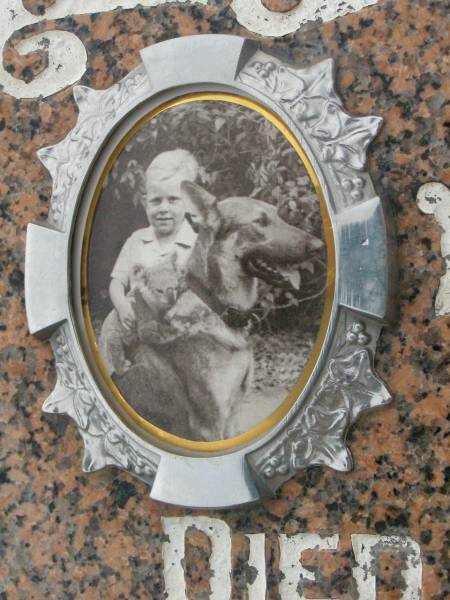 Dennis William FISCHER,  | son,  | died 7 Nov 1950 aged 4 years 11 months;  | Killarney cemetery, Warwick Shire  | 