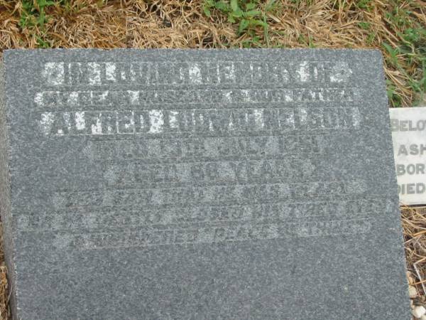 Alfred Ludwig NELSON,  | husband father,  | died 13 July 1951 aged 66 years;  | Topsy (ashes),  | daughter,  | born 11 Sept 1917,  | died 17 June 1972;  | Killarney cemetery, Warwick Shire  | 