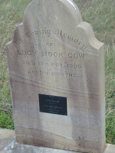 Lucy Mook GOW,  | died 13 Nov 1900 aged 7 months;  | Henry MOOK GOW,  | aged 53 years;  | Colin James Mook GOW,  | aged 6 years,  | died Canton Oct 1914;  | Killarney cemetery, Warwick Shire  |   | 