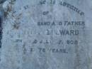 William MILWARD, husband father, died 27 July 1908 aged 78 years; Killarney cemetery, Warwick Shire 