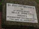 
Nellie Annette HUGHES,
mother,
died Christmas Day 1965,
from Desmond;
Killarney cemetery, Warwick Shire
