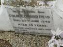 
Colin Edward REIS,
son,
died 27 June 1940 aged 15 years;
Killarney cemetery, Warwick Shire
