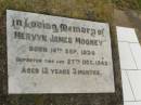 
Mervyn James MOONEY,
born 16 Sept 1930,
died 27 Dec 1942 aged 12 years 3 months;
Killarney cemetery, Warwick Shire
