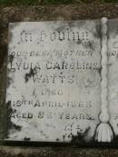 
Lydia Caroline WATTS,
mother,
died 18 April 1968 aged 86 years;
Willie WATTS,
father,
died 5 May 1943 aged 65 years;
Killarney cemetery, Warwick Shire
