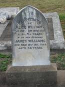 Alice WILLIAMS, died 3 Nov 1919 aged 33 years; James WILLIAMS, husband, died 10 Dec 1925 aged 43 years; Killarney cemetery, Warwick Shire 