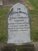 
James Frederick GOODWIN,
drowned at Koreelah Creek,
died 11-3-1925 aged 42 years,
erected by parents brothers sisters;
Oswald Sydney GOODWIN,
accidentally killed 13 Nov 1958 aged 43 years,
erected mother & sisters;
Rose Ethele GOODWIN,
born 9-11-1893,
died 31-3-1983;
Killarney cemetery, Warwick Shire
