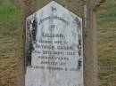 
Ernest GAGEN,
son,
died from injuries accidentally received
4 Dec 1907 aged 5 12 years;
Lillian,
wife of Patrick GAGEN,
died 22 Sept 1919 aged 46 years,
erected by husband & sons;
Killarney cemetery, Warwick Shire
