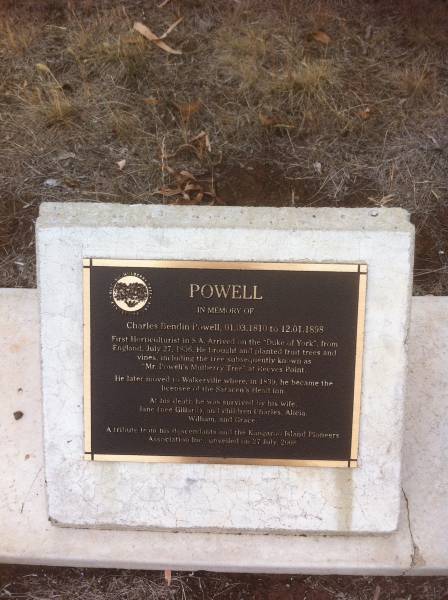 Charles Bendin POWELL  | b: 1 Mar 1810  | d: 12 Jan 1898  | first horticulturist in S.A. Arrived on the Duke of York from  | England July 27 1836. He brought and planter fruit trees and vines including the tree subsequentl known as Mr Powell's mulberry tree at Reeves Point  |   | He later moved to Walkerville where, in 1839, he became the licensee of the Saracen's Head Inn.  | At his death he was survived by his wife,  | Jane (nee GILLARD) and children Charles, Alicia, William and Grace  |   |   | Kingscote historic cemetery - Reeves Point, Kangaroo Island, South Australia  |   | 