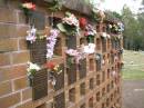 
Lawnton cemetery, Pine Rivers Shire
