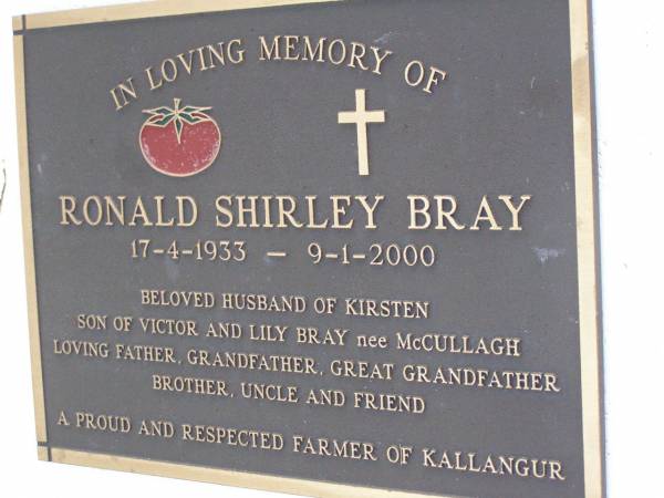 Jessie Margaret Stewart BRAY,  | died 20 Feb 1938 aged 61 years;  | Thomas Nathaniel BRAY,  | husband,  | died 3 June 1949 aged 83 years;  | John Sanders BRAY,  | son husband father,  | died 17 Oct 1974 aged 71 years;  | Mary Isabel BRAY,  | wife mother,  | born 29 Nov 1911,  | died 27 Nov 2004;  | Jessie Edith PETHERICK (nee BRAY),  | 2 Feb 1912 - 12 April 1995;  | Hugh Richard Reginald PETHERICK,  | husband,  | 11 Oct 1904 - 19 Sept 2002;  | William Stewart BRAY,  | 3 Oct 1904 - 10 Sept 2002;  | Dorothy May BRAY,  | wife,  | 13 May 1907 - 15 April 2004;  | Ronald Shirley BRAY,  | 17-4-1933 - 9-1-2000,  | husband of Kirsten,  | son of Victor & Lily BRAY (nee MCCULLAGH(,  | father grandather great-grandfather brother uncle,  | farmer of Kallangur;  | Lawnton cemetery, Pine Rivers Shire  | 
