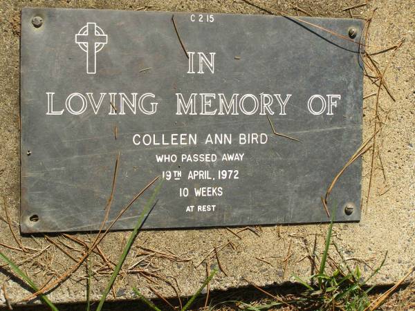 Colleen Ann BIRD,  | died 19 APril 1972 aged 10 weeks;  | Lawnton cemetery, Pine Rivers Shire  | 