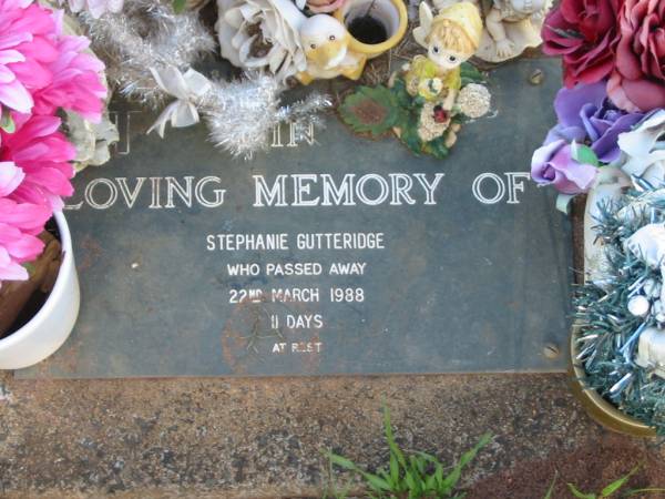 Stephanie GUTTERIDGE,  | died 22 March 1988 aged 11 days;  | Lawnton cemetery, Pine Rivers Shire  | 