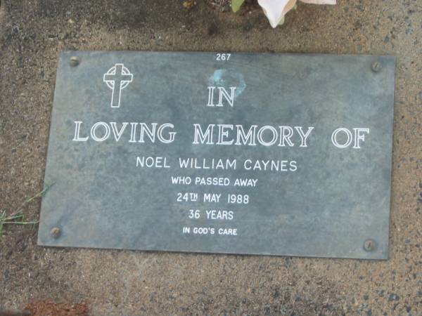 Noel William CAYNES,  | died 24 May 1988 aged 36 years;  | Lawnton cemetery, Pine Rivers Shire  | 