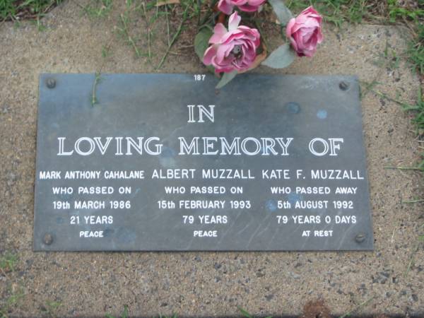 Mark Anthony CAHALANE,  | died 19 March 1986 aged 21 years;  | Albert MUZZALL,  | died 15 Feb 19933 aged 79 years;  | Kate F. MUZZALL,  | died 5 Aug 1992 aged 79 years 0 days;  | Lawnton cemetery, Pine Rivers Shire  | 