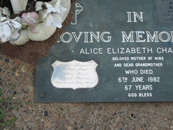 Alice Elizabeth CHAPMAN,  | died 6 June 1982 aged 67 years,  | mother of nine (Peter, Paul, Claire, Noni,  | Daniel, Patricia, David, Mary Anne),  | grandmother;  | Adam,  | baby son of Noni,  | born 7-5-90;  | Lawnton cemetery, Pine Rivers Shire  | 