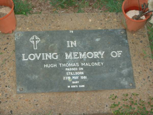Hugh Thomas MALONEY,  | baby,  | stillborn 23 May 1981;  | Lawnton cemetery, Pine Rivers Shire  | 