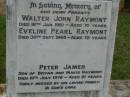 parents; Walter John RAYMONT, died 16 Jan 1961 aged 70 years; Eveline Pearl RAYMONT, died 30 Sept 1965 aged 72 years; Peter James, son of Bryan & Mavis RAYMONT, died 19 July 1978 aged 21 years; Lawnton cemetery, Pine Rivers Shire  