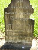 
Harold Somers JOYNER,
born 1 Jan 1894,
died 17 May 1997;
Lawnton cemetery, Pine Rivers Shire
