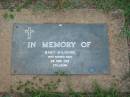 
Baby WILSHIRE,
stillborn 3 Mar 1982;
Lawnton cemetery, Pine Rivers Shire
