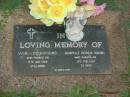 Vicki Lee HODGINS, stillborn 13 Jan 1984; Chantelle Patricia HODGINS, died 11 Feb 1991 aged 22 days; Lawnton cemetery, Pine Rivers Shire 