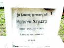 Mervyn STAATZ, died 17 Dec 1931; Lockrose Green Pastures Lutheran Cemetery, Laidley Shire 