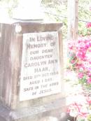 
Carolyn Ann HAAK, daughter,
died 5 Oct 1954 aged 1 day;
Lockrose Green Pastures Lutheran Cemetery, Laidley Shire
