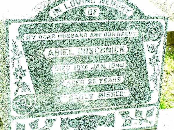 Abiel GOSCHNICK, husband daddy,  | died 10 Jan 1940 aged 35 years;  | Lockrose Green Pastures Lutheran Cemetery, Laidley Shire  | 