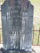 
Joseph BALL died 17 Nov 1896 aged 64 years;
wife Maria born 24 June 1830 died 27 Jan 1919;
Logan Village Cemetery, Beaudesert
