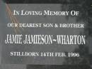 
Jamie JAMIESON-WHARTON, stillborn 14 Feb 1996, son brother;
Logan Village Cemetery, Beaudesert Shire
