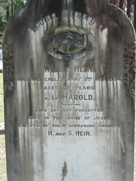 Willie HEIN died 2 Nov 1924 aged 27 years;  | Harold;  | parents H. and S. HEIN;  | Logan Village Cemetery, Beaudesert  | 