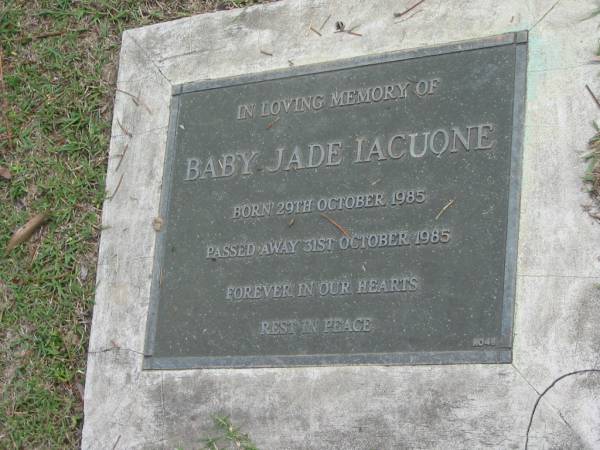 Baby Jane IACUONE, B: 29 Oct 1985, D: 31 Oct 1985  | Logan Village Cemetery, Beaudesert  | 