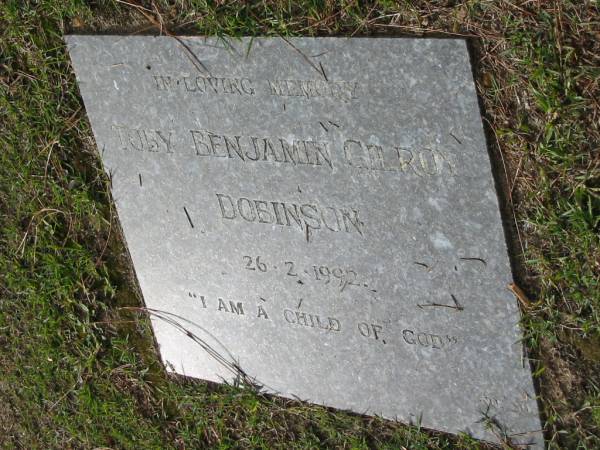 Toby Benjamin Gilroy DOBINSON, 26-2-1992;  | Logan Village Cemetery, Beaudesert Shire  | 