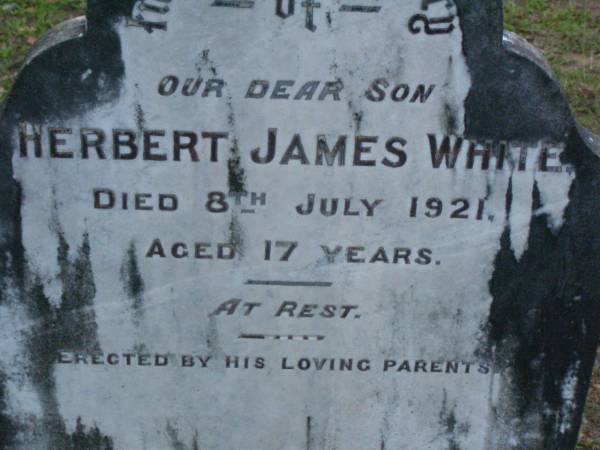 Herbert James WHITE,  | son,  | died 8 July 1921 aged 17 years,  | erected by parents;  | Lower Coomera cemetery, Gold Coast  | 