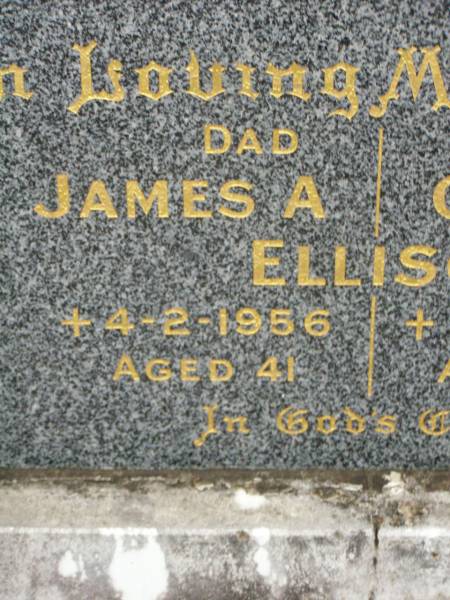 James A. ELLISON,  | dad,  | died 4-2-1956 aged 41 years;  | Gladys G. ELLISON,  | mum,  | died 24-11-1967 aged 59 years;  | Lower Coomera cemetery, Gold Coast  | 