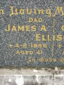 
James A. ELLISON,
dad,
died 4-2-1956 aged 41 years;
Gladys G. ELLISON,
mum,
died 24-11-1967 aged 59 years;
Lower Coomera cemetery, Gold Coast
