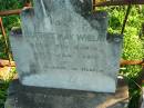 
Beatrice May WHELAN,
born 2 Oct 1910 died 1 Jan 1911;
St Michaels Catholic Cemetery, Lowood, Esk Shire
