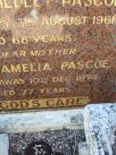 
William Hedley PASCOE
3 Aug 1961, aged 68
Alvina Amelia PASCOE
10 Dec 1974, aged 77
Lowood General Cemetery

