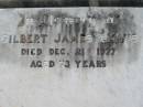 
Gilbert James LEWIS
21 Dec 1977, aged 73
Lowood General Cemetery

