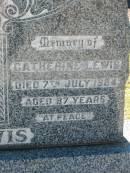 
William LEWIS
27 Aug 1940, aged 80
Catherine LEWIS
7 Jul 1954, aged 87
Lowood General Cemetery

