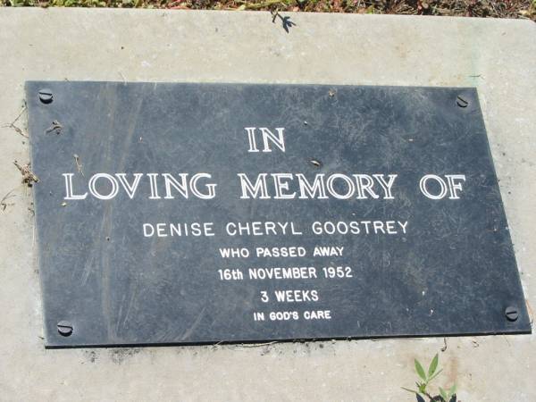 Denise Cheryl GOOSTREY  | 16 Nov 1952, aged 3 weeks  | Lowood General Cemetery  |   | 