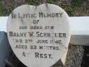 
Barry W. SCHRODER, died 9 June 1947 aged 22 months, son;
Lowood Trinity Lutheran Cemetery (St Marks Section), Esk Shire
