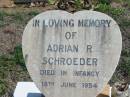 
Adrian R. SCHROEDER, died in infancy 18 June 1954;
Lowood Trinity Lutheran Cemetery (St Marks Section), Esk Shire
