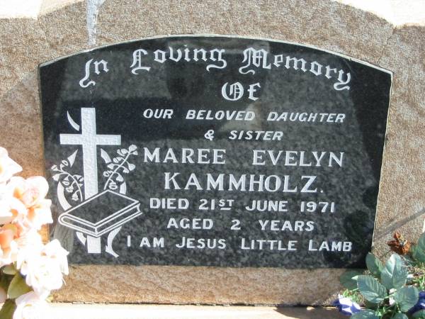 Maree Evelyn KAMMHOLZ, died 21 June 1971 aged 2 years, daughter sister;  | Lowood Trinity Lutheran Cemetery (St Mark's Section), Esk Shire  | 