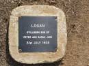 
son of Peter & Sarah Jane LOGAN
stillborn 31 July 1905;
Ma Ma Creek Anglican Cemetery, Gatton shire
