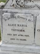 
Alice Maria TRYHORN,
died 30 April 1925 aged 75 years;
Charles TRYHORN, husband,
died 10 Dec 1926 aged 81 years;
Ma Ma Creek Anglican Cemetery, Gatton shire
