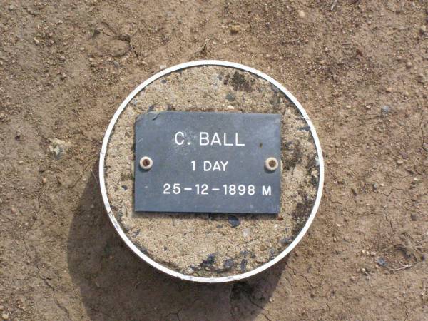 C. BALL, male,  | died 25-12-1898 aged 1 day;  | Ma Ma Creek Anglican Cemetery, Gatton shire  | 