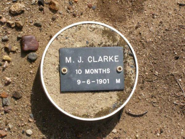 M.J. CLARKE, male,  | died 9-6-1901 aged 10 months;  | Ma Ma Creek Anglican Cemetery, Gatton shire  | 